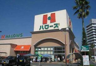 日本福山简介,日本历史悠久的古城魅力之旅