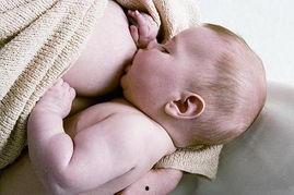 母乳哺乳期无码 下载,温馨育儿瞬间记录