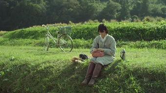 小森林夏秋篇在线播放,田园诗般的自然生活画卷